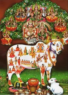 the cow is surrounded by many deities