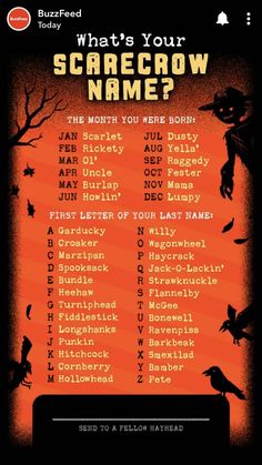 the poster for what's your scarecrow name?, which is written in black and