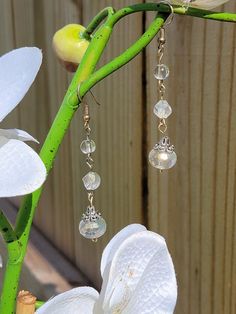 Dangle Glass Beaded Earrings Adjustable Beaded Glass Earrings, Glass Beaded Dangle Earrings For Parties, Elegant Glass Beaded Drop Earrings, Elegant Adjustable Beaded Glass Earrings, Glass Beaded Teardrop Earrings, Beaded Glass Teardrop Earrings, Beaded Glass Drop Earrings, Teardrop Beaded Glass Earrings, Dangling Glass Round Bead Earrings