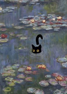 a black cat floating on top of water lilies with a question mark above it