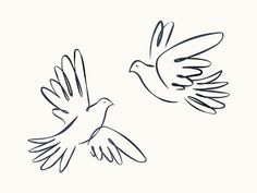 two birds flying side by side in the air with their wings spread out and one bird is