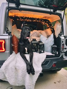 Lanterns, cozy blankets, decor pillows, fall, winter, JL, Jeep Wrangler, dog photo shoot, Great Dane, holidays Jeep Wrangler Dog Accessories, Jeep Wrangler Camping, 4wd Camping, Adventure Jeep, Jeep Sahara, New Jeep Wrangler, Jeep Jku, Jeep Dogs