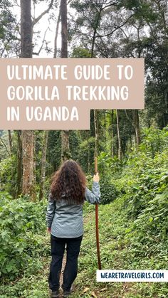 the ultimate guide to gorillaa trekking in uganda