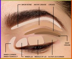 I know how critical it is to know how to apply and blend out your eyeshadow like a pro, and it can be a real challenge to balance blending to get seamless Makeup Diagram, Eyeshadow Placement, Makeup Placement, Beginners Eyeshadow, Blend Eyeshadow, Beginner Eyeshadow, Parts Of The Eye, Eye Makeup Styles