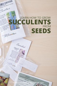 seeds and seed packets on a table with the words learn how to grow succulents from seeds