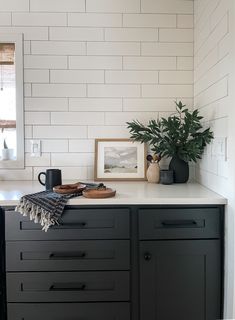 a kitchen with black cabinets and white subway backsplash, potted plant on the counter