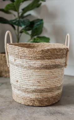 a woven basket with handles sits on a table next to a potted plant