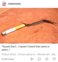 Australian Tumblr, Funny Aussie, Tokyo Gul, Australian Memes, Crush Memes, Tokyo Ghoul Anime, Dc Memes, Kaneki Ken, Disney Memes