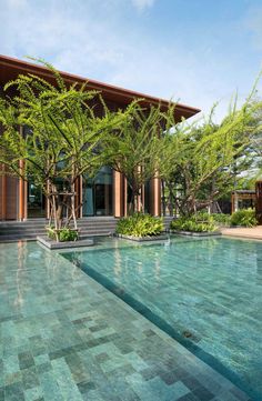 an outdoor swimming pool surrounded by greenery and stone steps leading up to the building