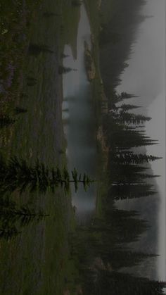 an image of foggy water and trees on the side of a road that is empty