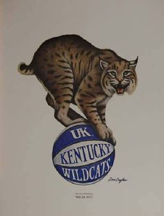 a drawing of a cat on top of a kentucky wildcat sign that says uk