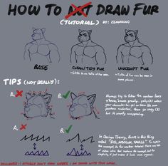 how to draw cats in different poses and positions for the cat's head, tail, and chest