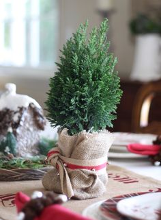 a small christmas tree in a burlock wrapped vase on a table with other holiday decorations