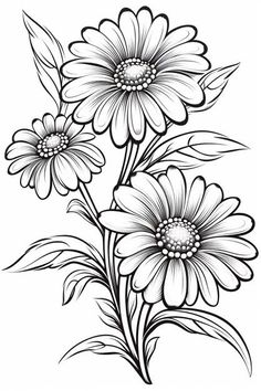 three daisies with leaves on the stems coloring page for adults and children to color