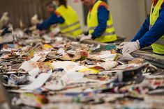 workers in yellow vests and blue jackets sorting papers