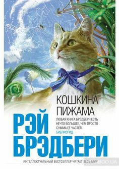 an advertisement for a pet store with a cat wearing a blue bow tie and looking up at the sky