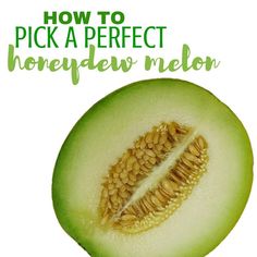 how to pick a perfect honeydew melon from the seedless plant that grows on it