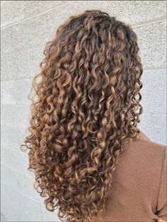 Natural Curly Hair Cuts, Brown Curly Hair