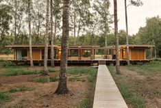 a wooden walkway leading to two cabins in the woods