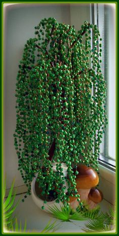 a potted plant sitting next to a window with green beads hanging from it's branches