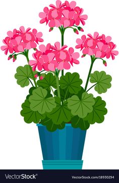 a potted plant with pink flowers and green leaves in it on a white background