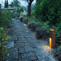 a stone path with plants and trees in the background at night, surrounded by greenery