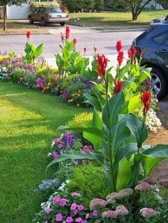 a car parked in front of a flower bed on the side of a road next to a lush green lawn