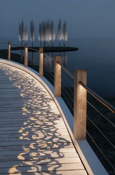 a wooden walkway next to the water with trees in the backgroud and shadows on the ground