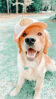 a dog wearing a hat with a smiley face on it's head sitting in the grass