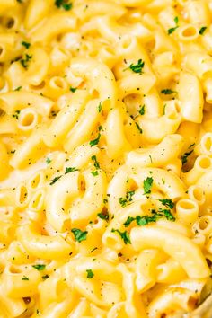 macaroni and cheese with parsley in a pan