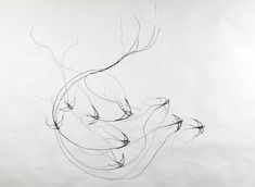 an abstract drawing of branches on a white background