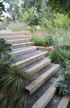 the steps are made out of wood and have plants growing on each side, along with gravel