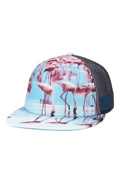 a pink flamingos trucker hat with black mesh on the front and blue background