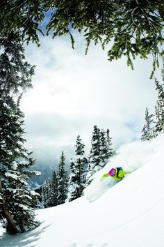 a person skiing down a snow covered slope with evergreen trees in the foreground and clouds in the background