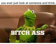 Kermit Funny, Funny Quotes Sarcasm, Zero Tolerance, Sarcastic Quotes Funny, Funny Video Memes, Funny Relatable Quotes, Oui Oui, Work Humor, The Frog