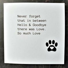 a card with a paw print on it and the words never forget that in between hello & goodbye there was love so much love