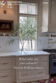 a kitchen with white cabinets and an open window that says, what color are your cabinets?