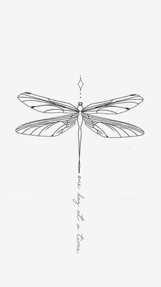 a black and white drawing of a dragonfly