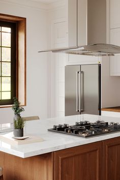 a stove top oven sitting inside of a kitchen next to a counter with a potted plant on it