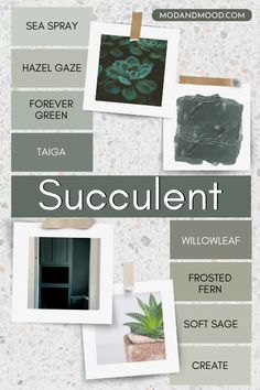 an advertisement for succulentt with photos and text on the bottom right corner