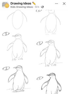 how to draw a penguin step by step