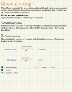 an info sheet describing the effects of blood cloting