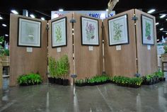 a room divider made out of wood with plants growing in the center and framed pictures on the wall