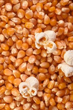 corn kernels are shown in this close up photo