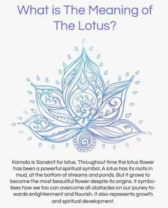 an advertisement for the lotus flower, with text that reads what is the meaning of the lotus