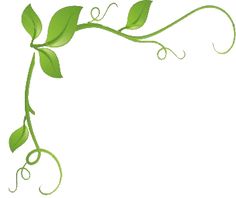 a branch with green leaves and swirls in the center, on a white background