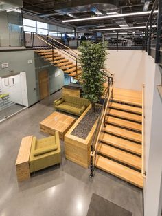 an office lobby with stairs, couches and a tree in the center on the floor