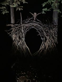 a person standing in the middle of a forest at night