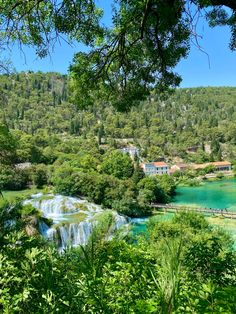 the plit is surrounded by lush green trees