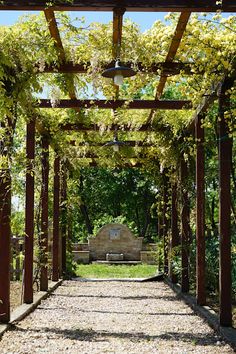 the walkway is lined with vines and benches